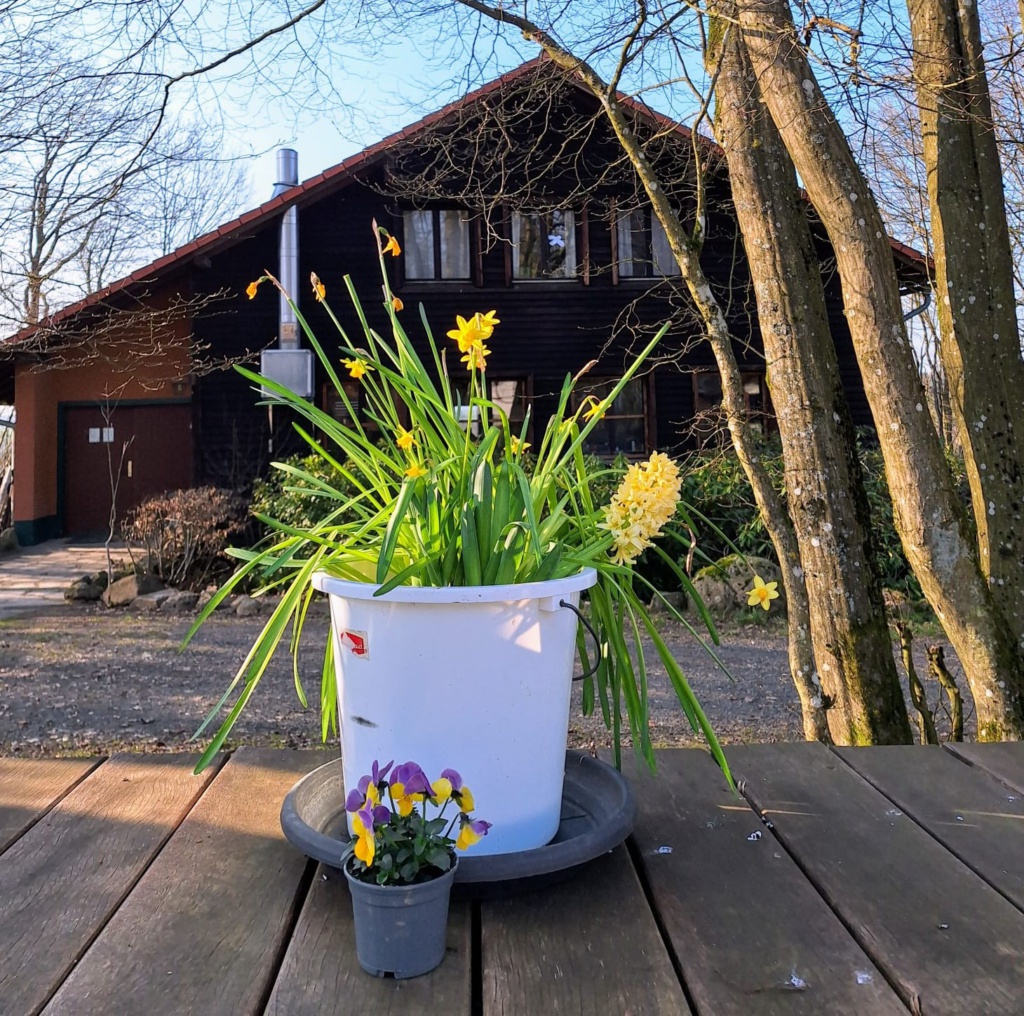 Ort der Meditation im Frühling